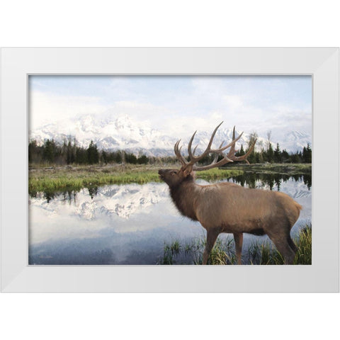 Bull Elk in Tetons White Modern Wood Framed Art Print by Deiter, Lori