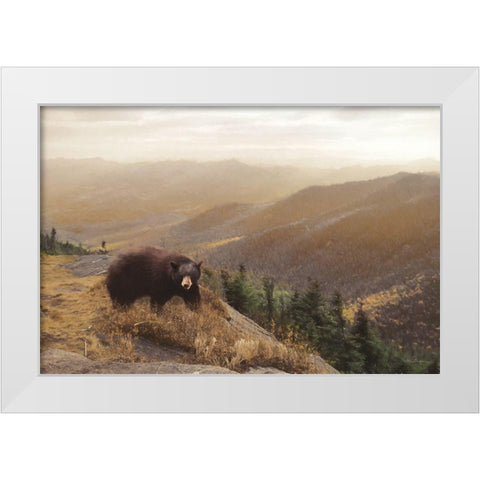 Bear Country White Modern Wood Framed Art Print by Deiter, Lori