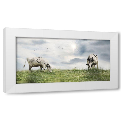 Grazing Dairy Cattle White Modern Wood Framed Art Print by Deiter, Lori