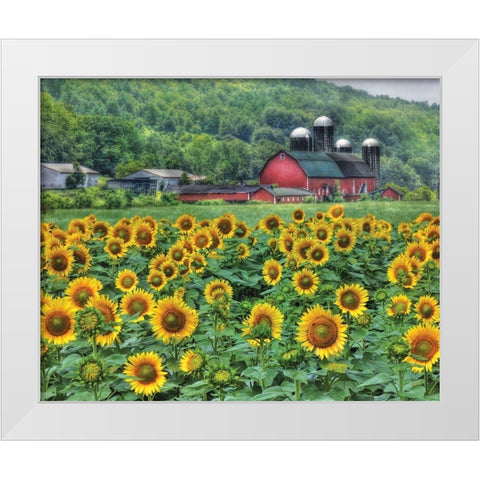 Sunflower Farm White Modern Wood Framed Art Print by Deiter, Lori