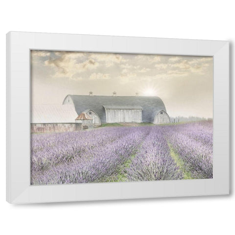 Lavender Morning White Modern Wood Framed Art Print by Deiter, Lori