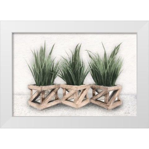 Planter Trio White Modern Wood Framed Art Print by Deiter, Lori