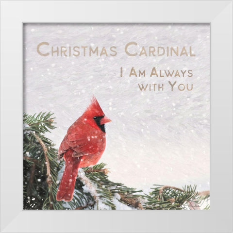 Christmas Cardinal White Modern Wood Framed Art Print by Deiter, Lori