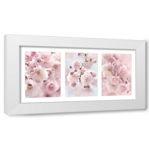 Weeping Cherry Trio White Modern Wood Framed Art Print by Deiter, Lori