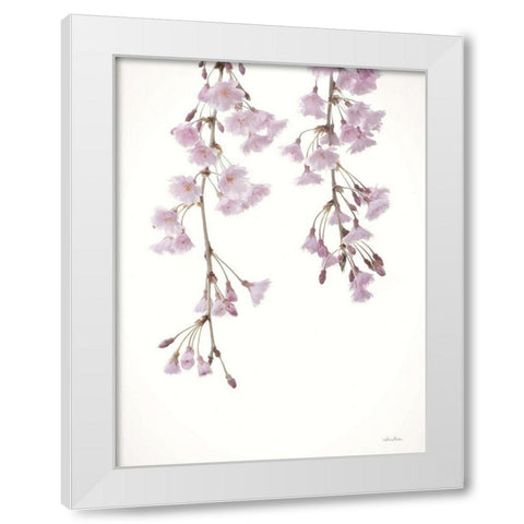 Weeping Cherry on White II White Modern Wood Framed Art Print by Deiter, Lori