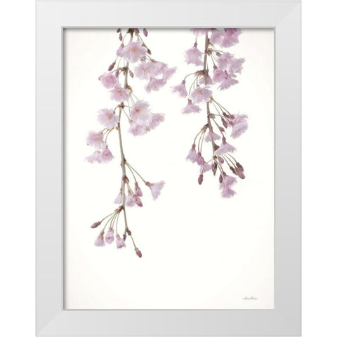 Weeping Cherry on White II White Modern Wood Framed Art Print by Deiter, Lori