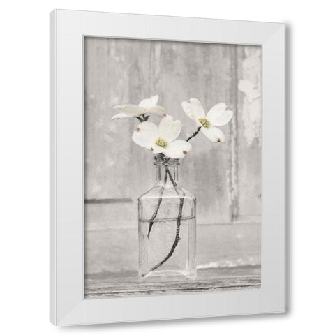Dogwood Blossoms White Modern Wood Framed Art Print by Deiter, Lori
