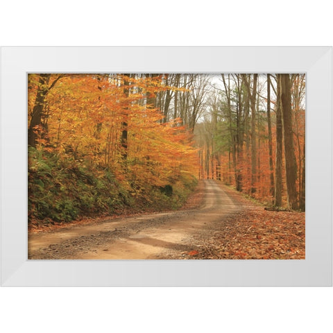 Fall Beauty I   White Modern Wood Framed Art Print by Deiter, Lori