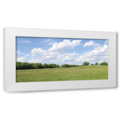 Summer Fields White Modern Wood Framed Art Print by Deiter, Lori