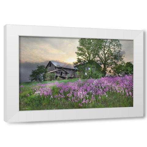 Country Living White Modern Wood Framed Art Print by Deiter, Lori
