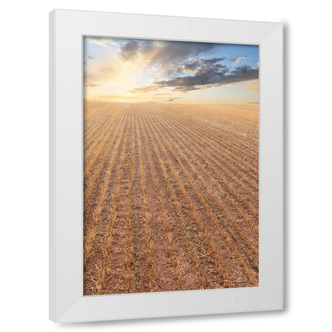 Its a New Day White Modern Wood Framed Art Print by Deiter, Lori