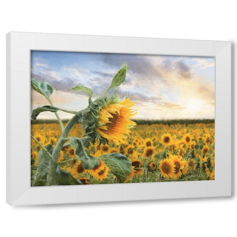Sunflower Sunrise White Modern Wood Framed Art Print by Deiter, Lori