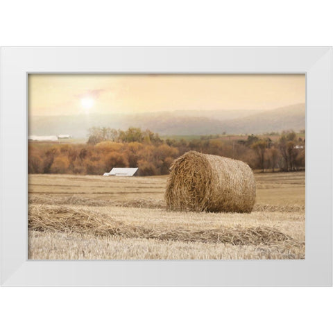 Golden Country Sunrise White Modern Wood Framed Art Print by Deiter, Lori