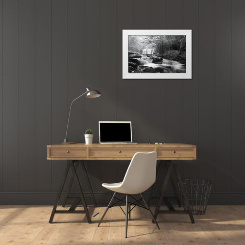 Oneida Falls White Modern Wood Framed Art Print by Deiter, Lori