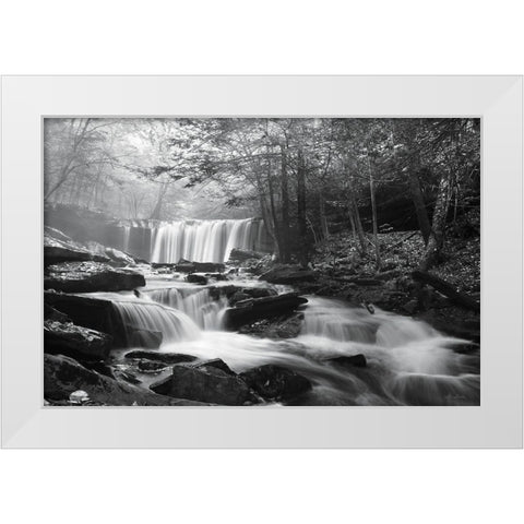 Oneida Falls White Modern Wood Framed Art Print by Deiter, Lori