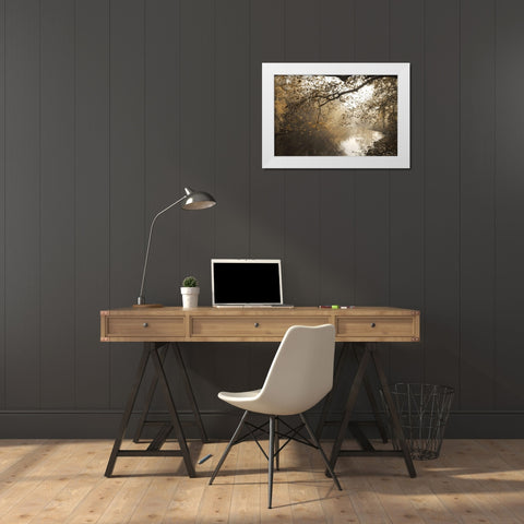 Morning Rays at Swatara Creek White Modern Wood Framed Art Print by Deiter, Lori