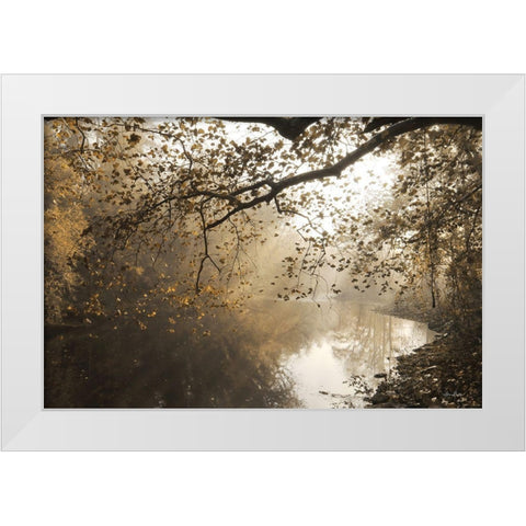 Morning Rays at Swatara Creek White Modern Wood Framed Art Print by Deiter, Lori