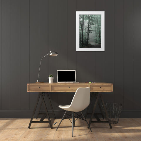 Misty Forest White Modern Wood Framed Art Print by Deiter, Lori
