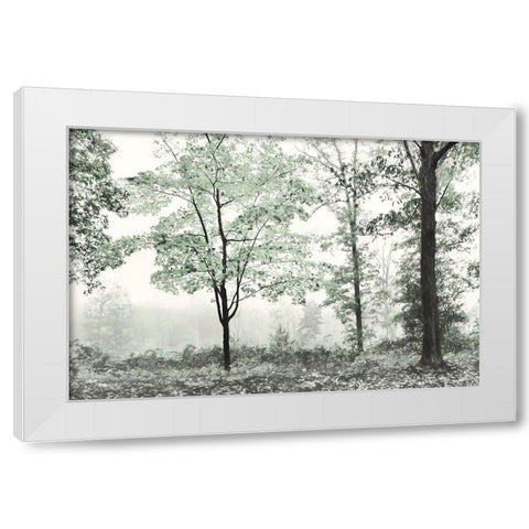 Three Trees White Modern Wood Framed Art Print by Deiter, Lori