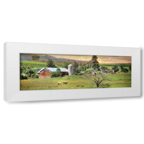Grazing Sheet White Modern Wood Framed Art Print by Deiter, Lori