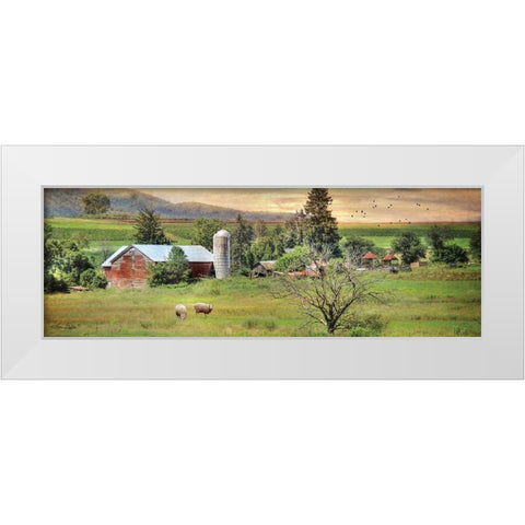 Grazing Sheet White Modern Wood Framed Art Print by Deiter, Lori