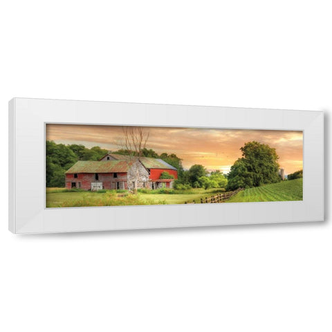 Greener Pastures White Modern Wood Framed Art Print by Deiter, Lori