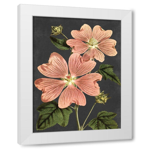 Pink Anemone White Modern Wood Framed Art Print by Lettered And Lined