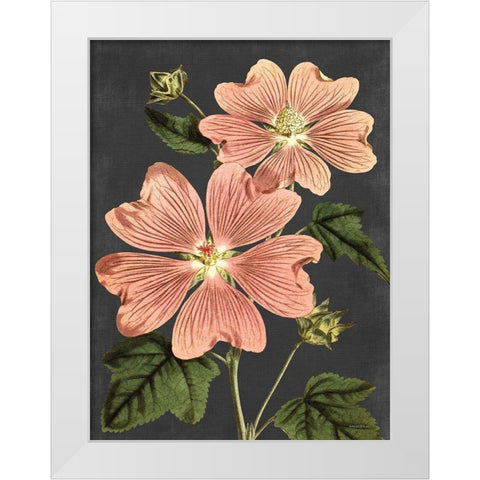 Pink Anemone White Modern Wood Framed Art Print by Lettered And Lined