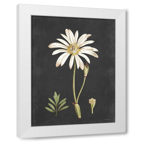 Naturalist Bloom Study White Modern Wood Framed Art Print by Lettered And Lined