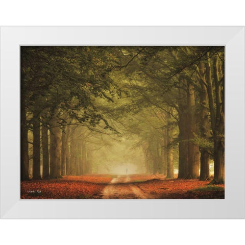 Misty Walk White Modern Wood Framed Art Print by Podt, Martin