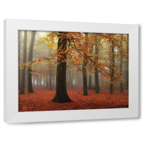 Miss Misty White Modern Wood Framed Art Print by Podt, Martin