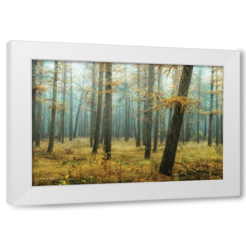 Holterberg in the Mist White Modern Wood Framed Art Print by Podt, Martin