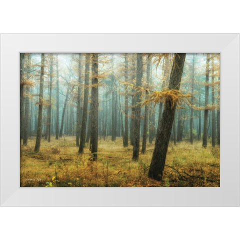 Holterberg in the Mist White Modern Wood Framed Art Print by Podt, Martin