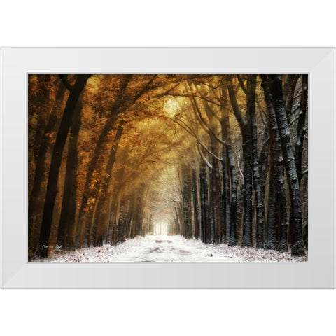 Autumn to Winter White Modern Wood Framed Art Print by Podt, Martin