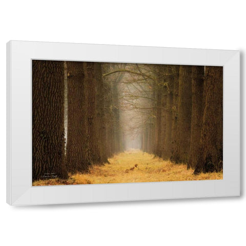 Yellow Path White Modern Wood Framed Art Print by Podt, Martin