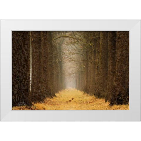 Yellow Path White Modern Wood Framed Art Print by Podt, Martin