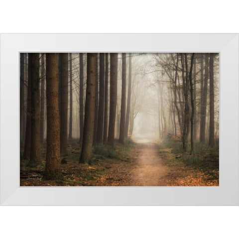 Quiet White Modern Wood Framed Art Print by Podt, Martin