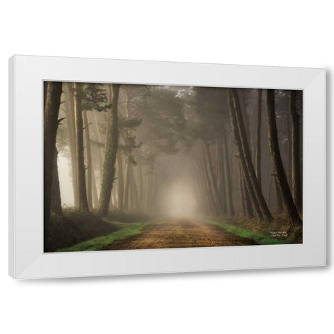 Misty Morning White Modern Wood Framed Art Print by Podt, Martin