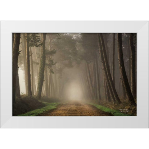 Misty Morning White Modern Wood Framed Art Print by Podt, Martin