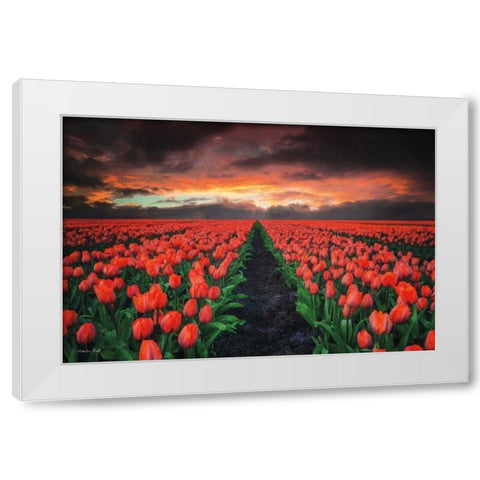 Endless Fields White Modern Wood Framed Art Print by Podt, Martin