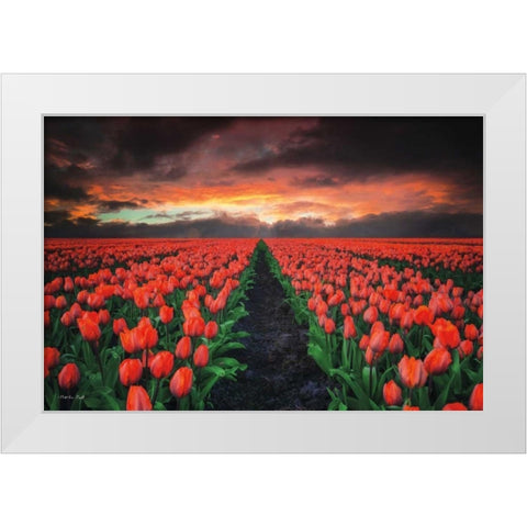 Endless Fields White Modern Wood Framed Art Print by Podt, Martin