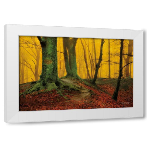 Heart of the Forest White Modern Wood Framed Art Print by Podt, Martin