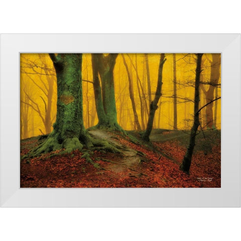 Heart of the Forest White Modern Wood Framed Art Print by Podt, Martin