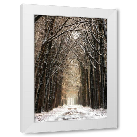 Winter White Modern Wood Framed Art Print by Podt, Martin