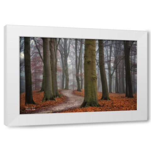 Autumn Path White Modern Wood Framed Art Print by Podt, Martin