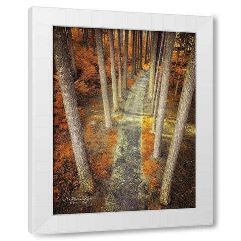 A Magical Flight White Modern Wood Framed Art Print by Podt, Martin