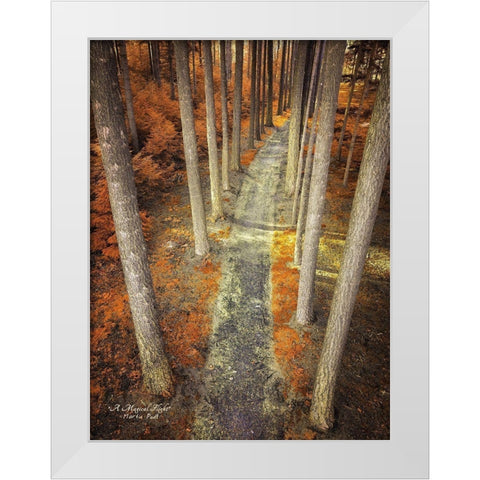 A Magical Flight White Modern Wood Framed Art Print by Podt, Martin