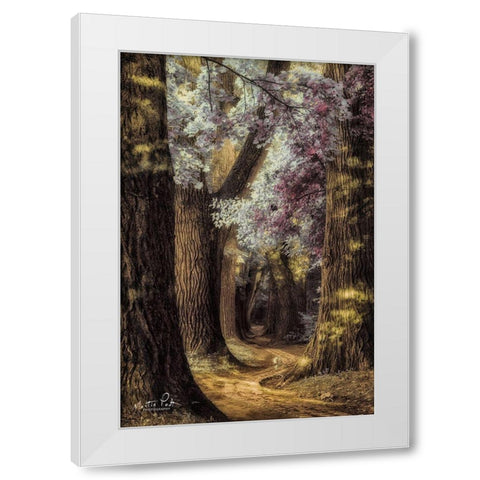 Fluffy Road White Modern Wood Framed Art Print by Podt, Martin