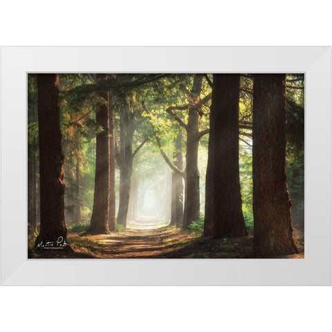 Fresh Green Forest White Modern Wood Framed Art Print by Podt, Martin