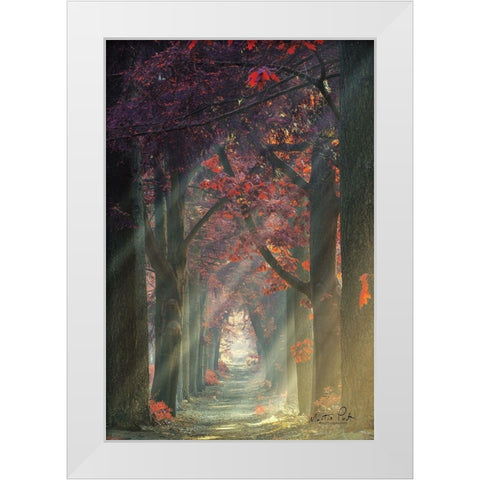 Path of Happiness White Modern Wood Framed Art Print by Podt, Martin